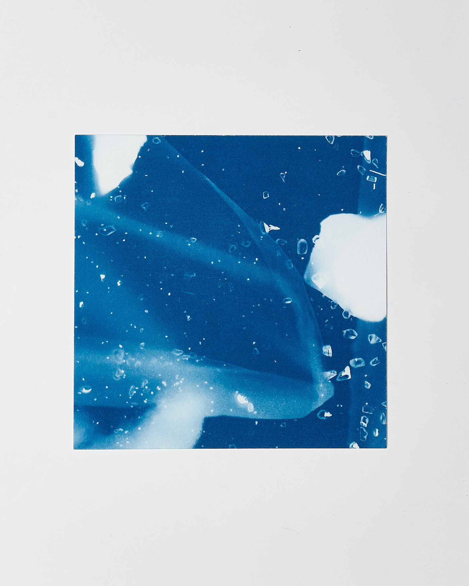 STUDIO SOMMER Original Cyanotype Edition N°13/26 – STELLAR TIDE – 12x12cm