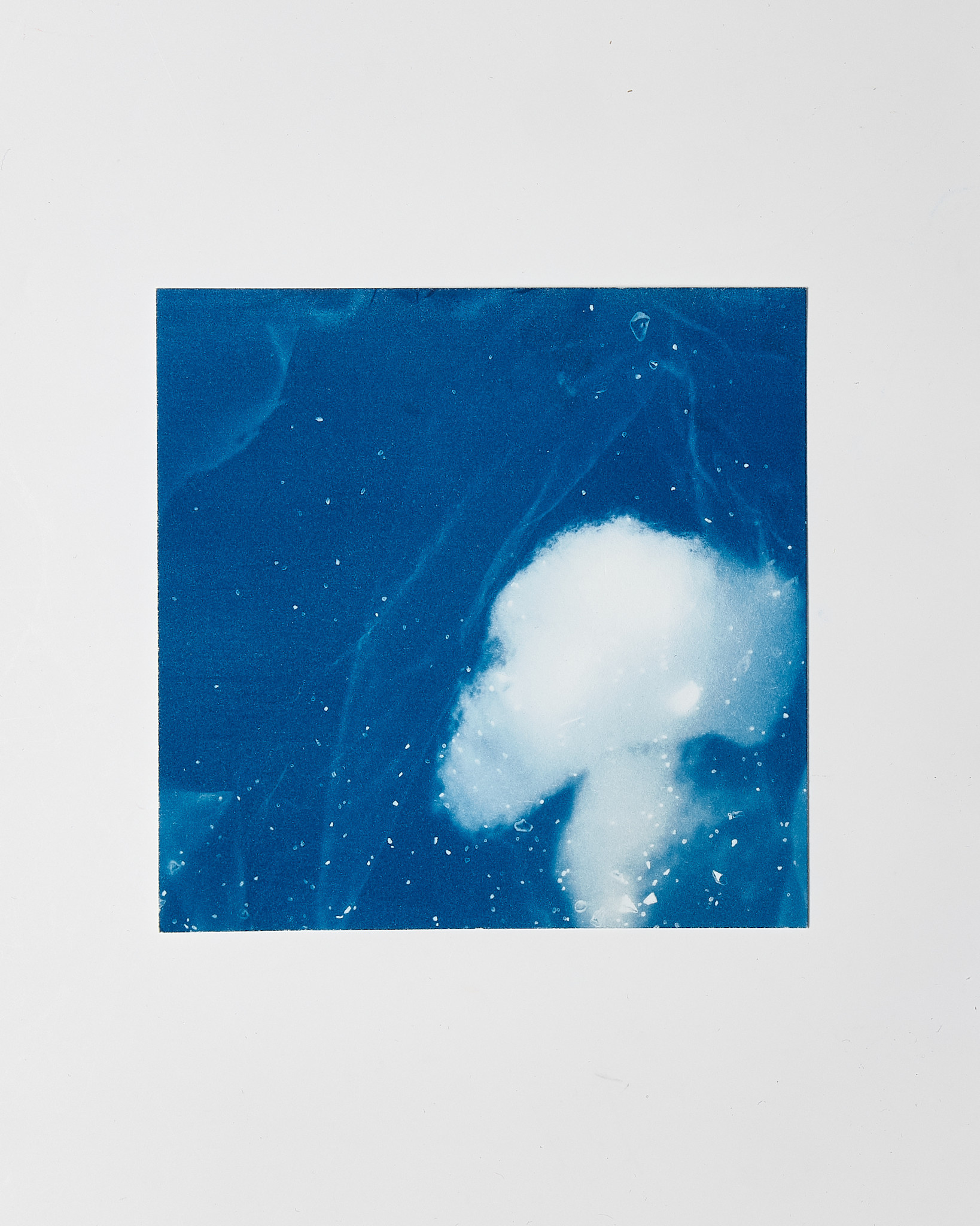 STUDIO SOMMER Original Cyanotype Edition N°14/26 – STELLAR TIDE – 12x12cm