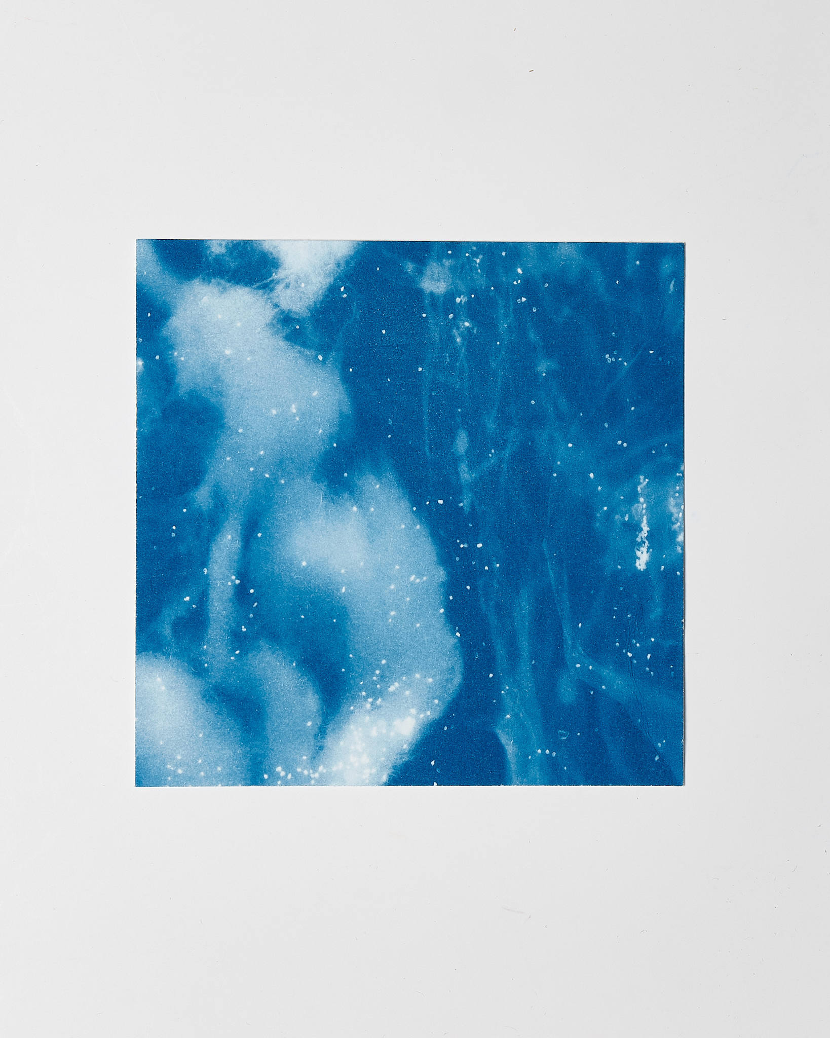 STUDIO SOMMER Original Cyanotype Edition N°15/26 – STELLAR TIDE – 12x12cm