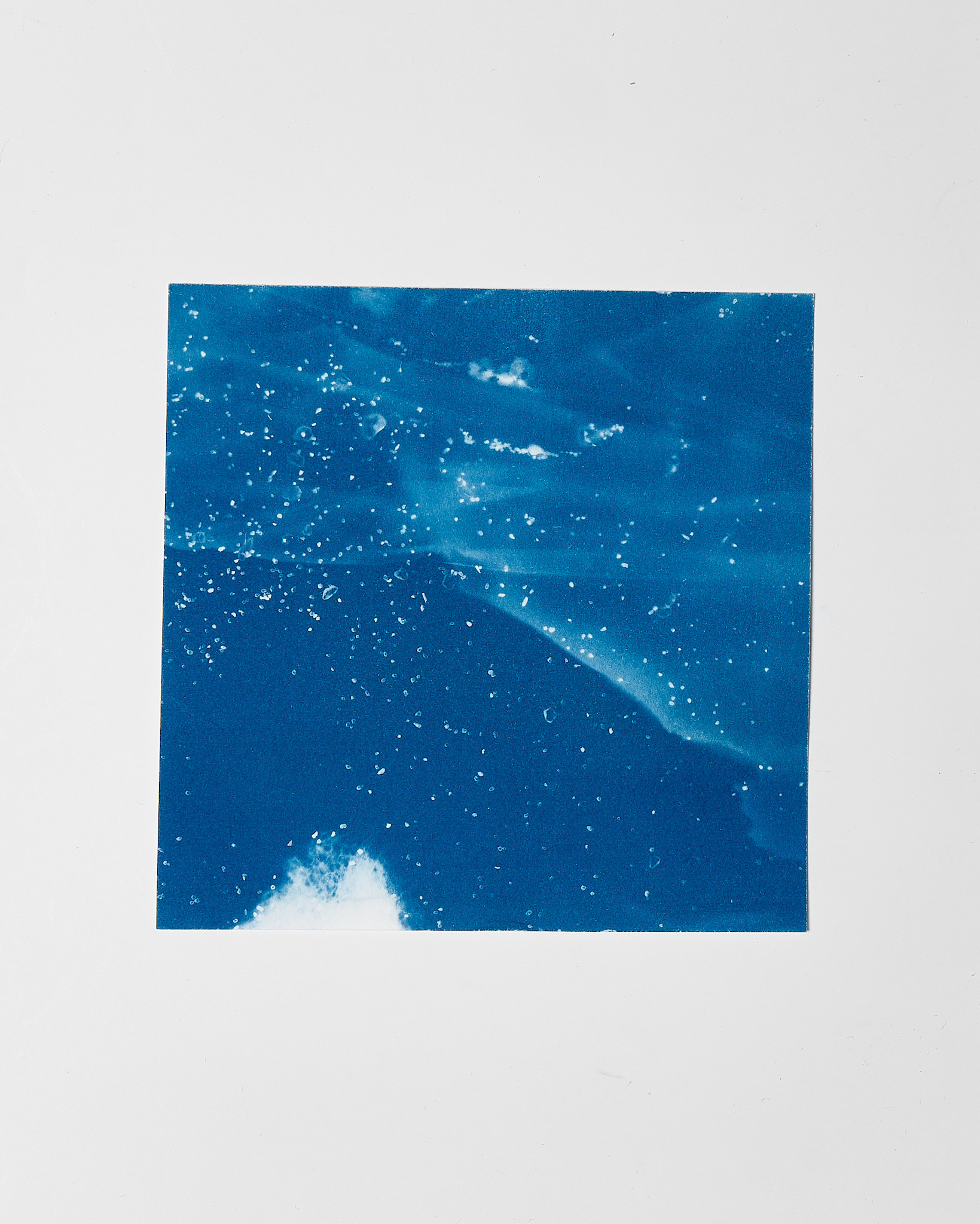 STUDIO SOMMER Original Cyanotype Edition N°16/26 – STELLAR TIDE – 12x12cm