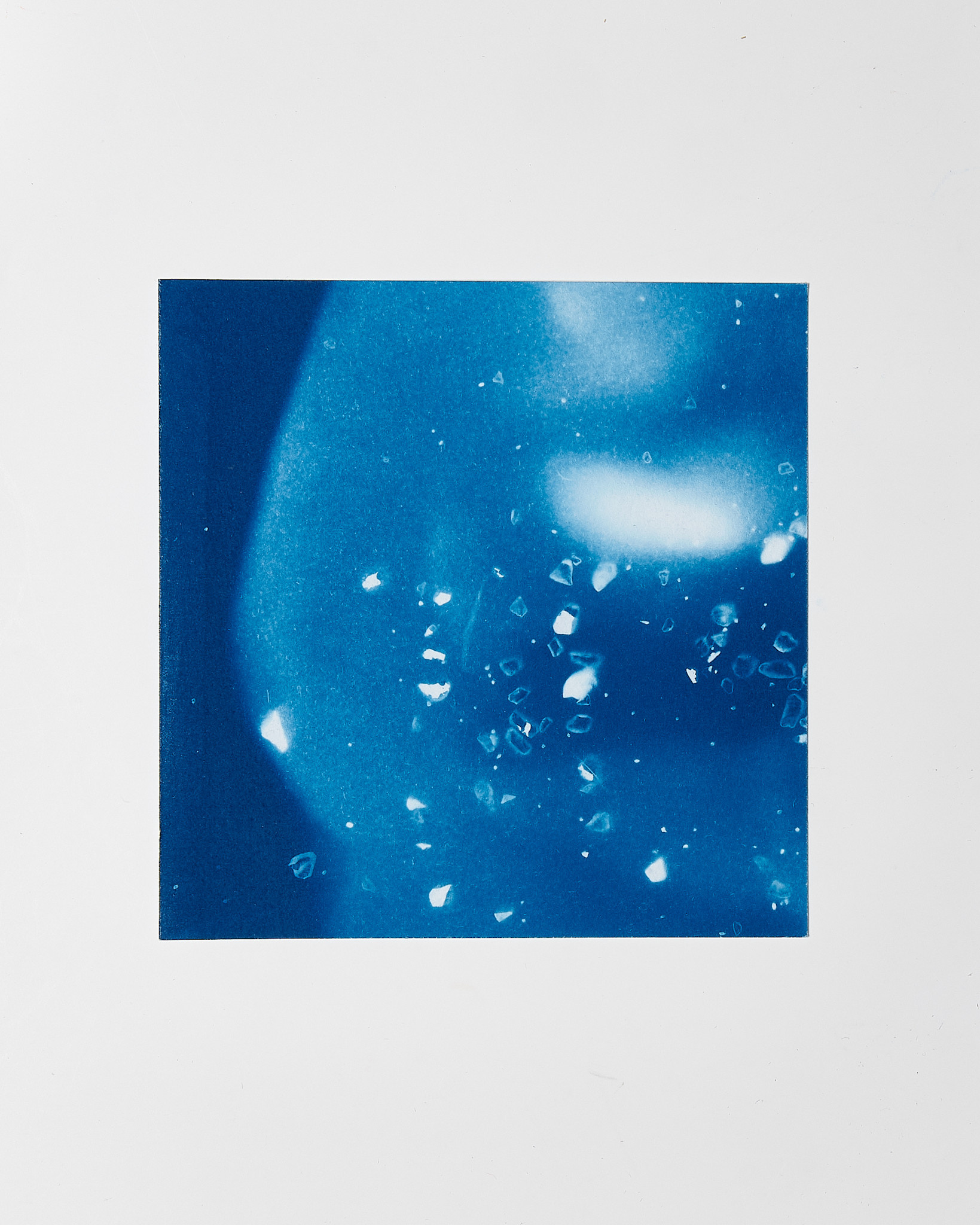 STUDIO SOMMER Original Cyanotype Edition N°18/26 – STELLAR TIDE – 12x12cm