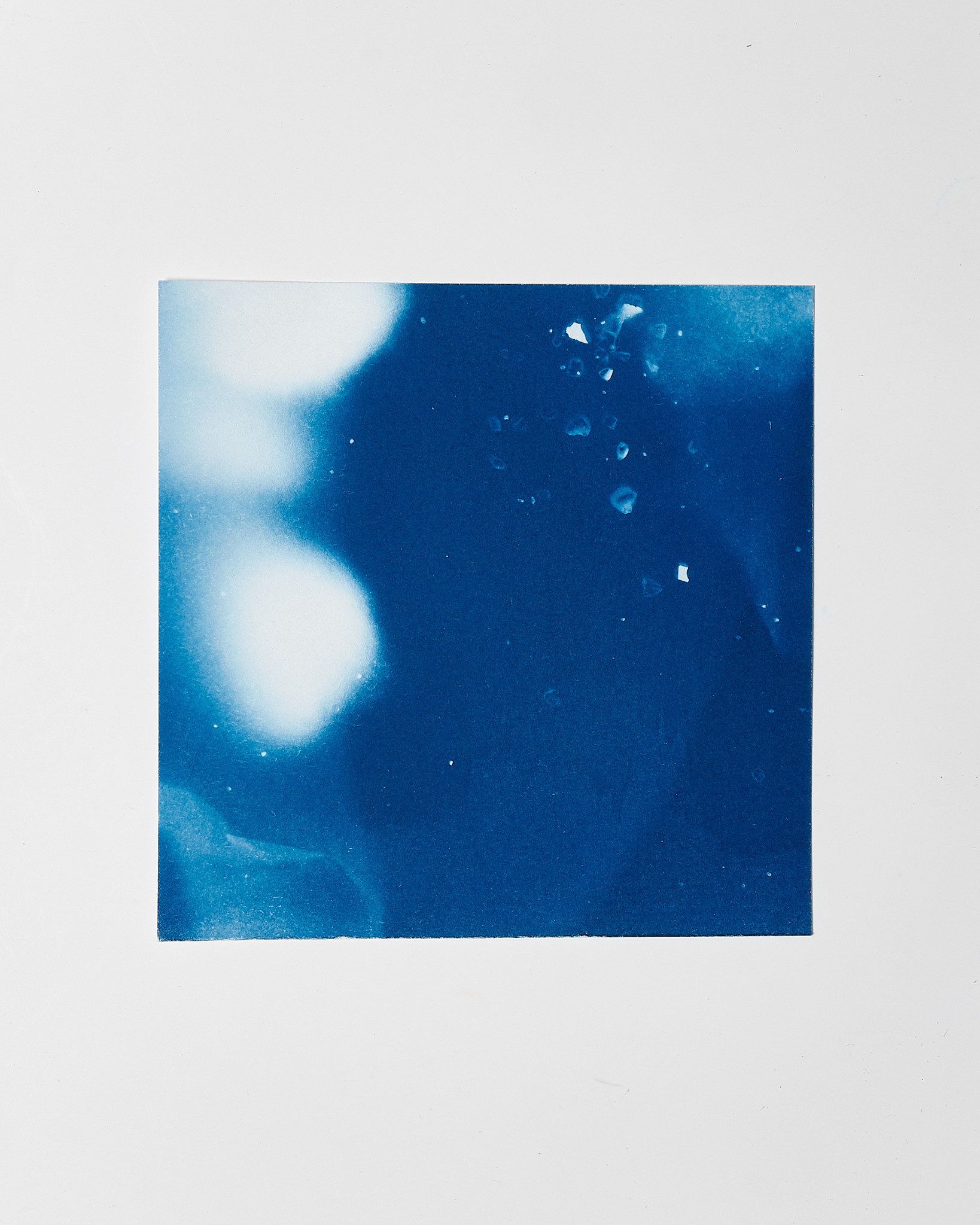 STUDIO SOMMER Original Cyanotype Edition N°19/26 – STELLAR TIDE – 12x12cm