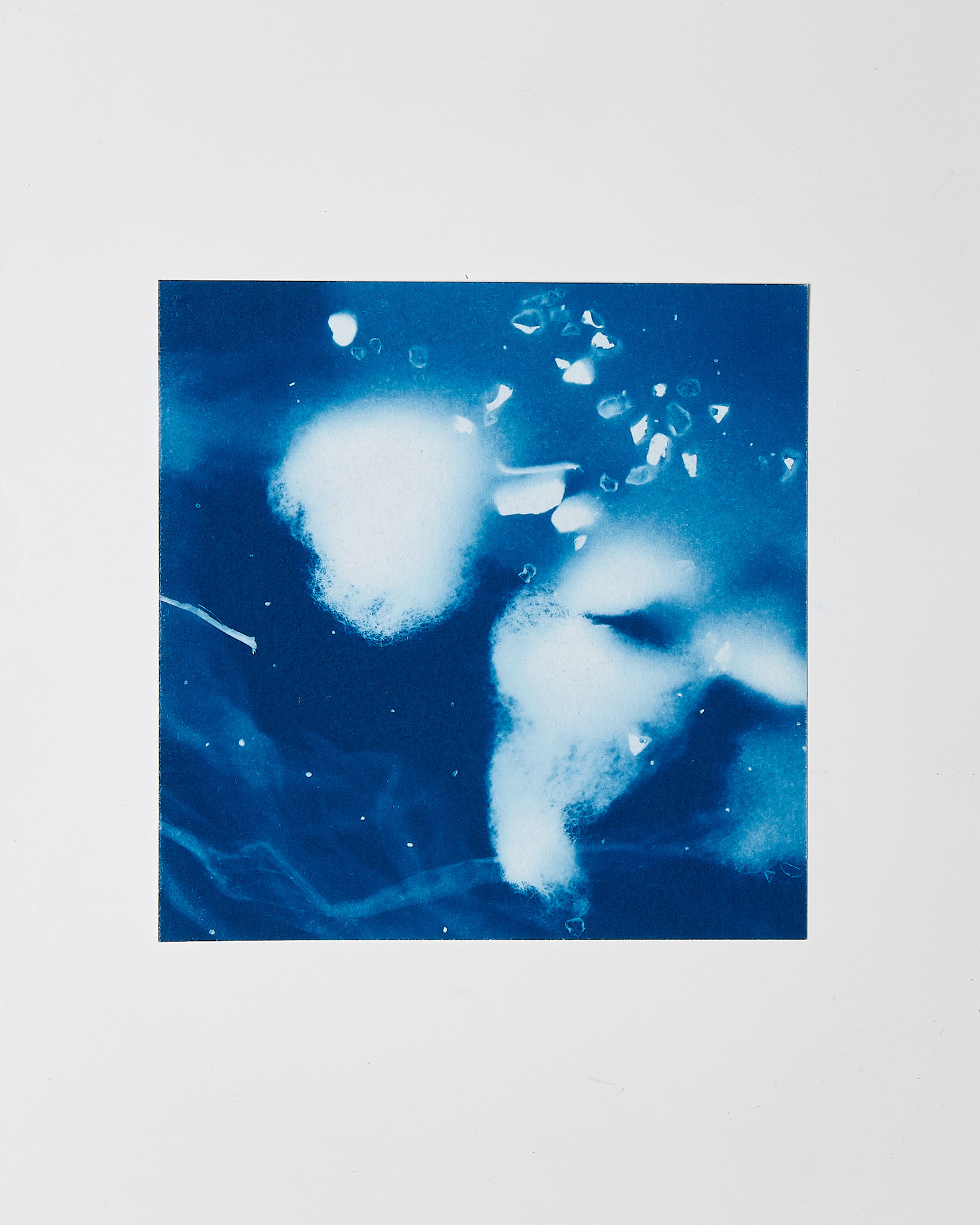 STUDIO SOMMER Original Cyanotype Edition N°20/26 – STELLAR TIDE – 12x12cm