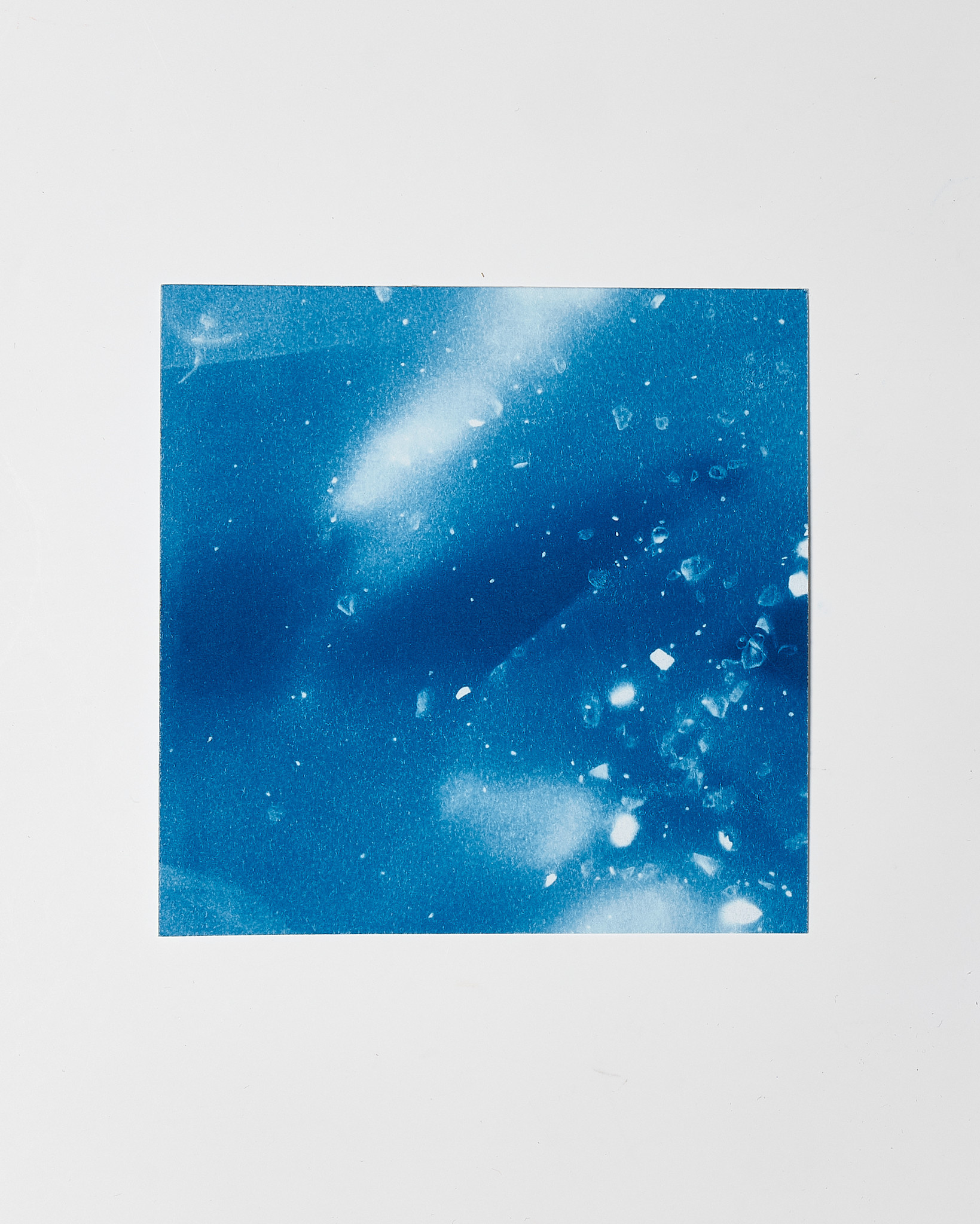 STUDIO SOMMER Original Cyanotype Edition N°22/26 – STELLAR TIDE – 12x12cm