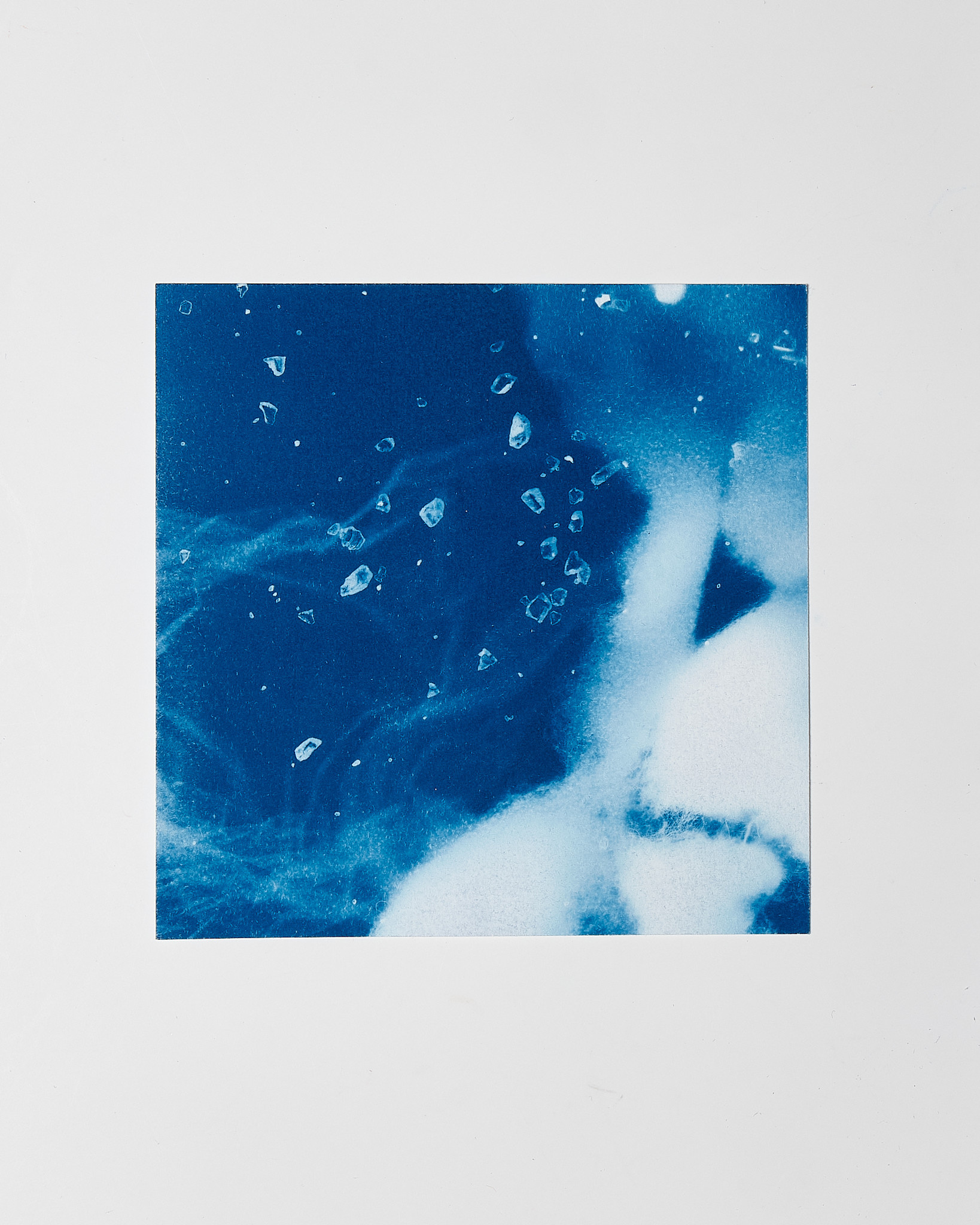 STUDIO SOMMER Original Cyanotype Edition N°23/26 – STELLAR TIDE – 12x12cm