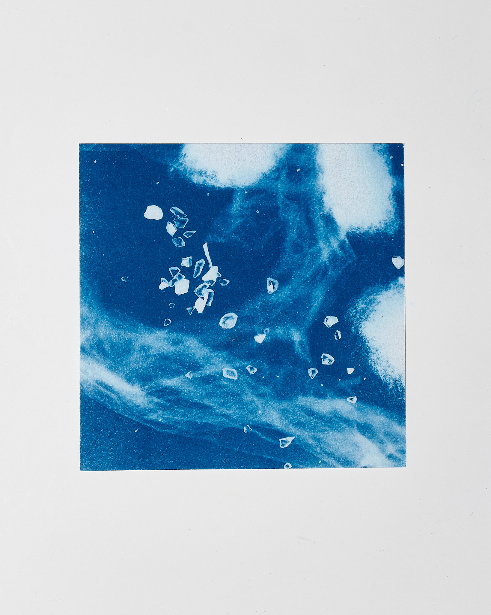 STUDIO SOMMER Original Cyanotype Edition N°24/26 – STELLAR TIDE – 12x12cm