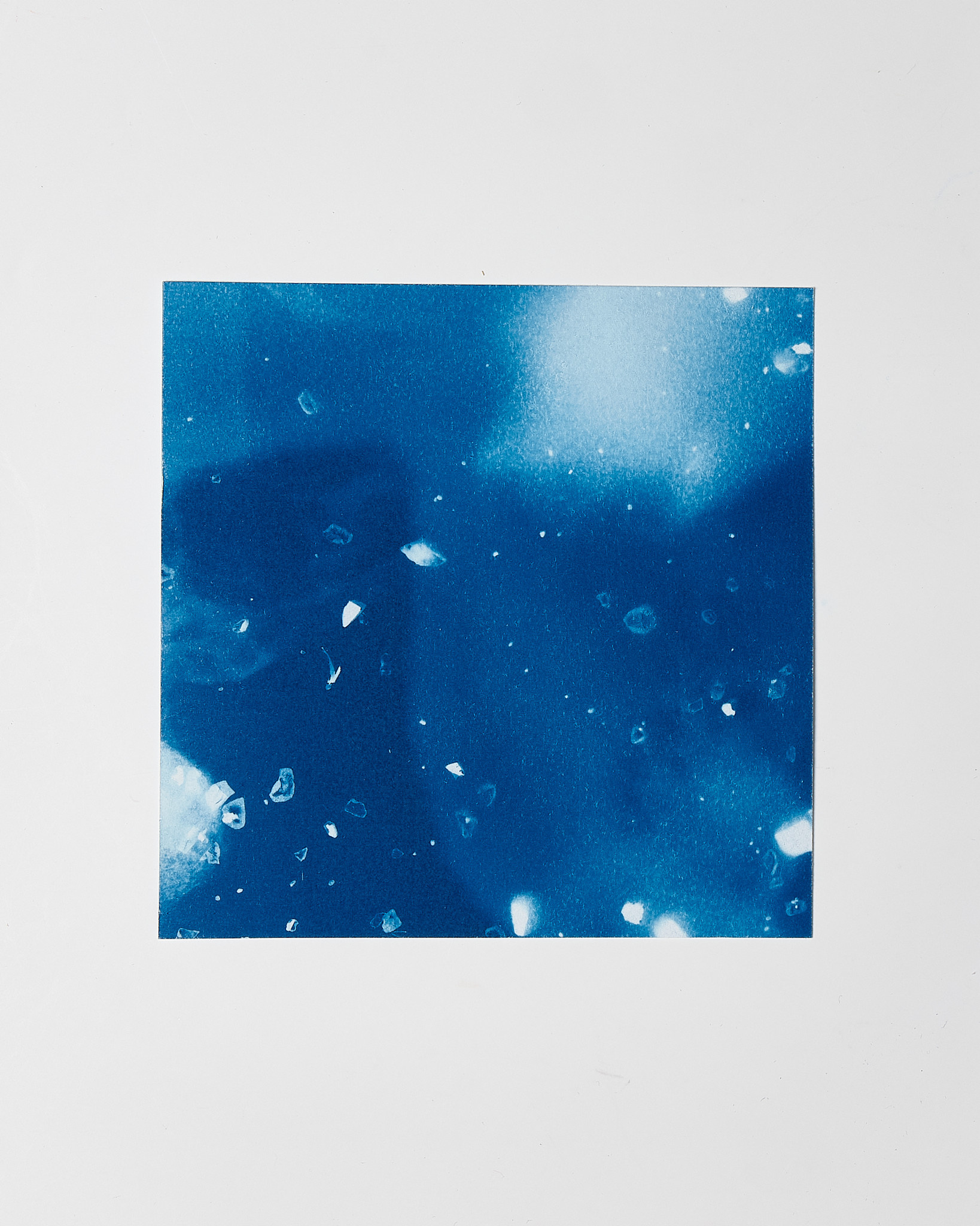 STUDIO SOMMER Original Cyanotype Edition N°25/26 – STELLAR TIDE – 12x12cm