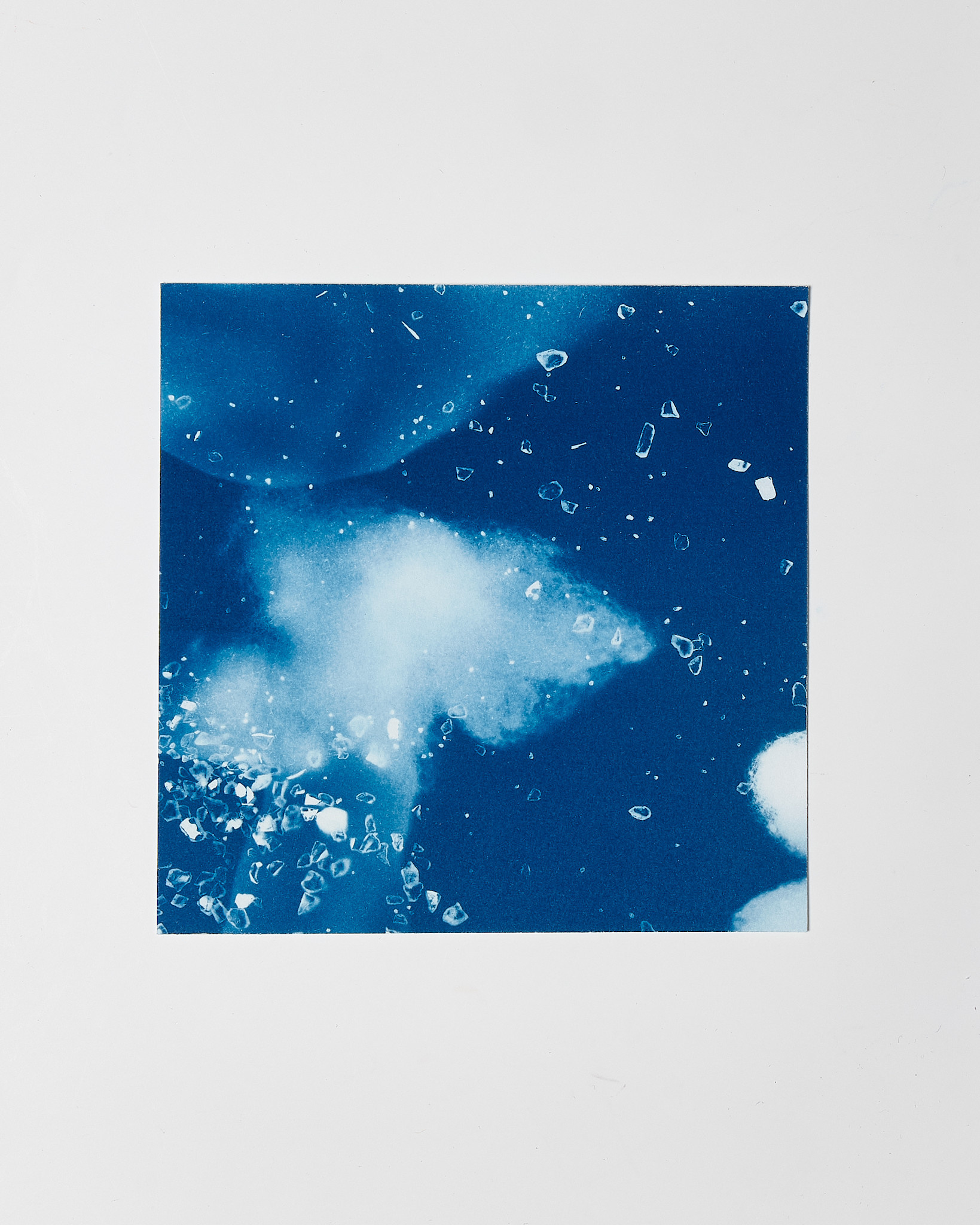 STUDIO SOMMER Original Cyanotype Edition N°26/26 – STELLAR TIDE – 12x12cm