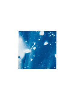 STUDIO SOMMER Original Cyanotype Edition N°14/26 – STELLAR TIDE – 12x12cm