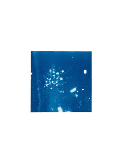 STUDIO SOMMER Original Cyanotype Edition N°15/26 – STELLAR TIDE – 12x12cm
