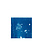 STUDIO SOMMER Original Cyanotype Edition N°15/26 – STELLAR TIDE – 12x12cm