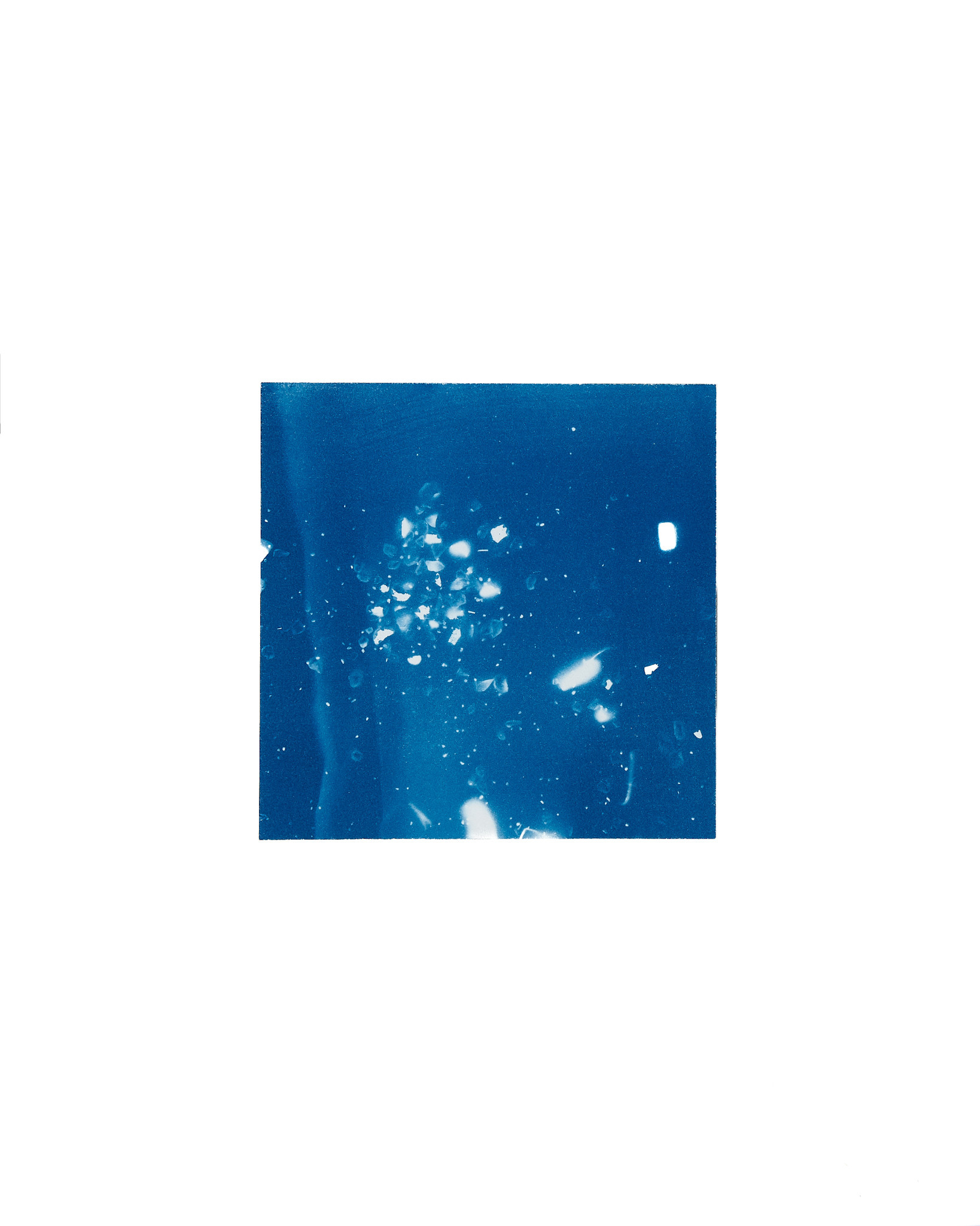 STUDIO SOMMER Original Cyanotype Edition N°15/26 – STELLAR TIDE – 12x12cm