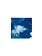 STUDIO SOMMER Original Cyanotype Edition N°26/26 – STELLAR TIDE – 12x12cm