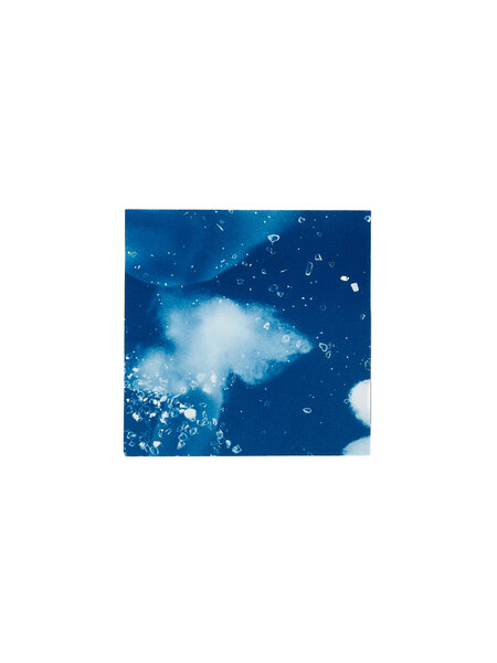 STUDIO SOMMER Original Cyanotype Edition N°26/26 – STELLAR TIDE – 12x12cm