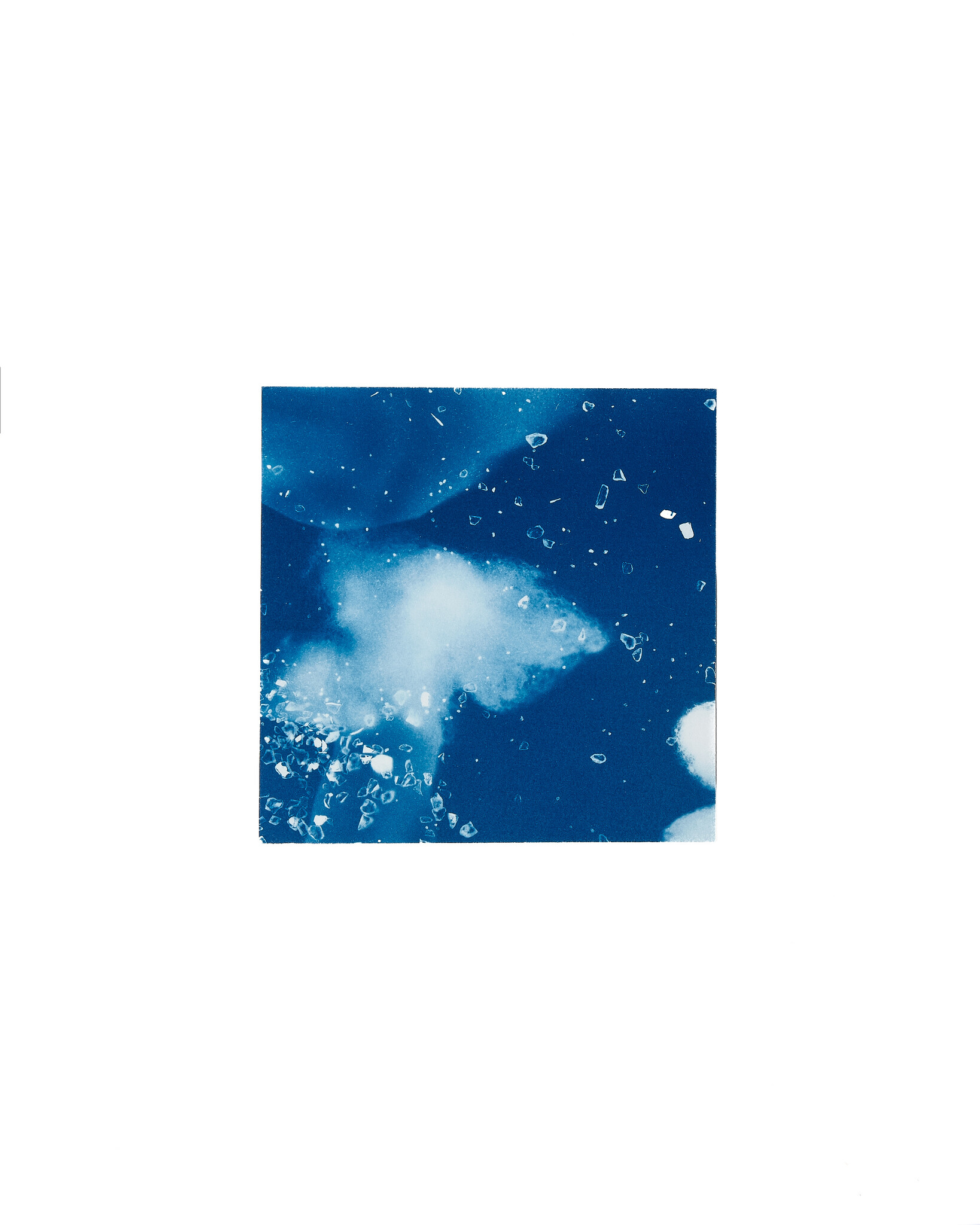 STUDIO SOMMER Original Cyanotype Edition N°26/26 – STELLAR TIDE – 12x12cm