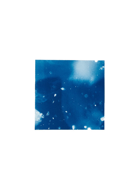 STUDIO SOMMER Original Cyanotype Edition N°25/26 – STELLAR TIDE – 12x12cm
