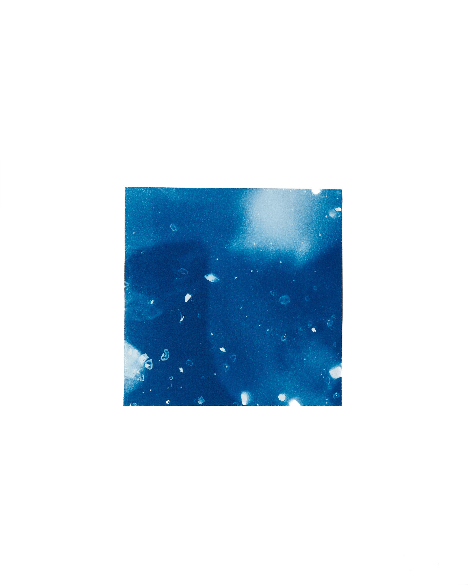 STUDIO SOMMER Original Cyanotype Edition N°25/26 – STELLAR TIDE – 12x12cm