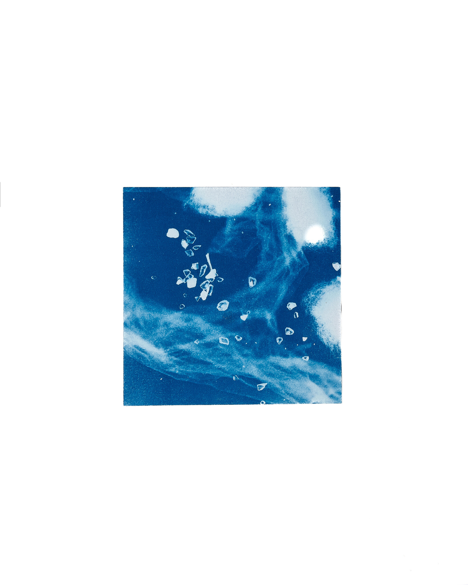 STUDIO SOMMER Original Cyanotype Edition N°24/26 – STELLAR TIDE – 12x12cm