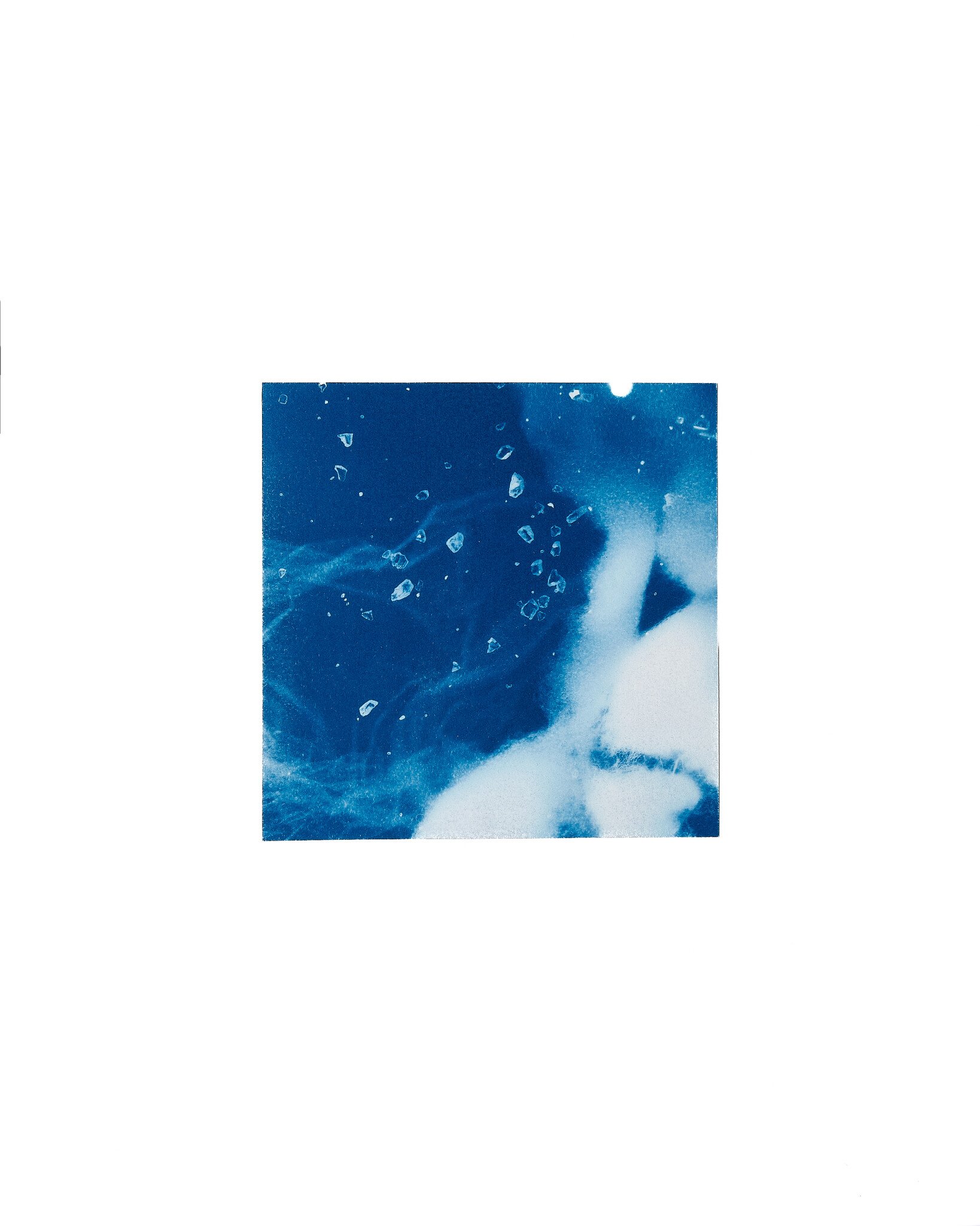 STUDIO SOMMER Original Cyanotype Edition N°23/26 – STELLAR TIDE – 12x12cm