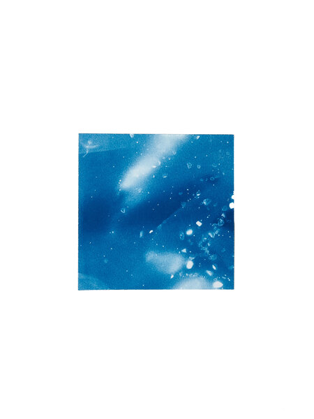 STUDIO SOMMER Original Cyanotype Edition N°22/26 – STELLAR TIDE – 12x12cm
