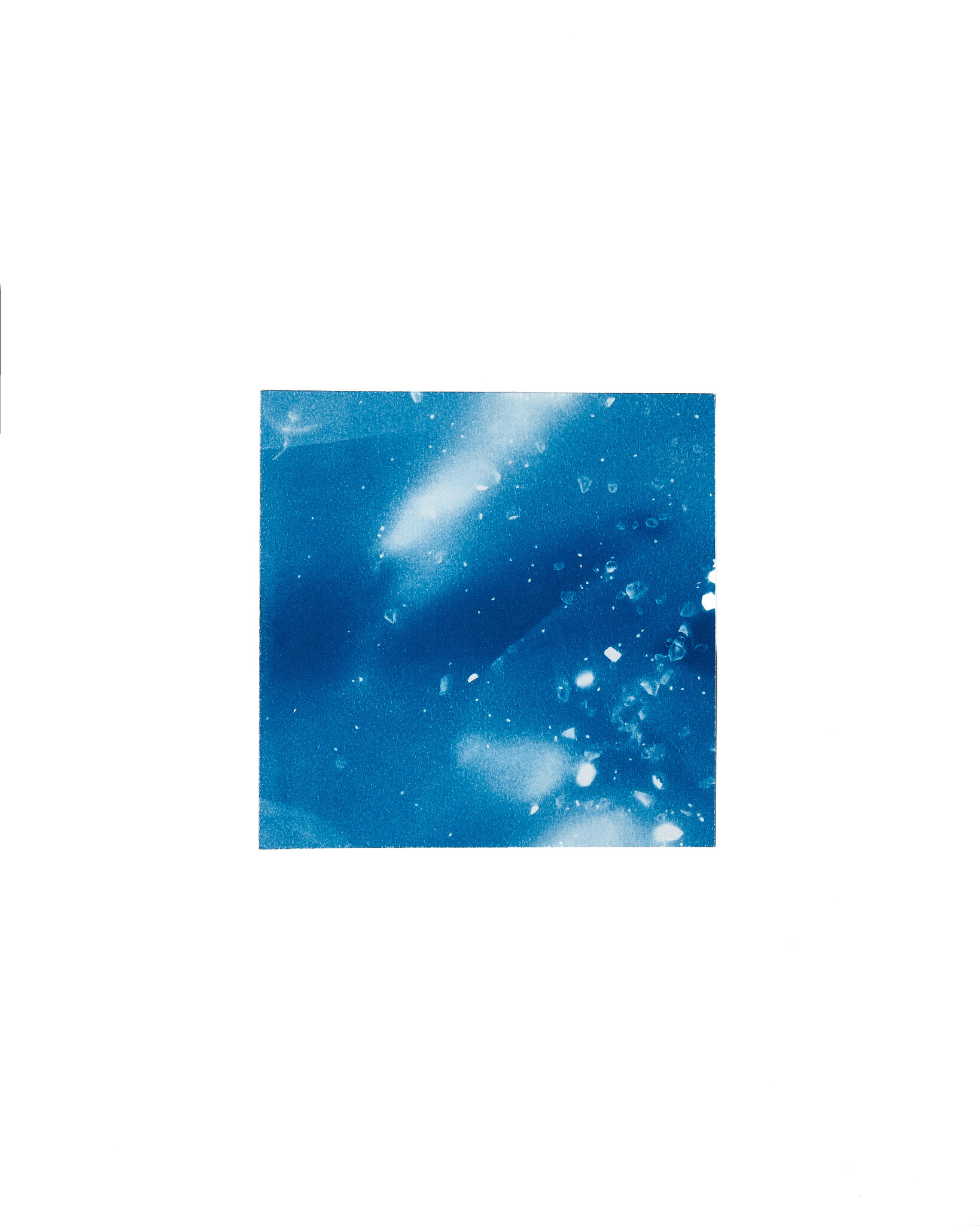 STUDIO SOMMER Original Cyanotype Edition N°22/26 – STELLAR TIDE – 12x12cm