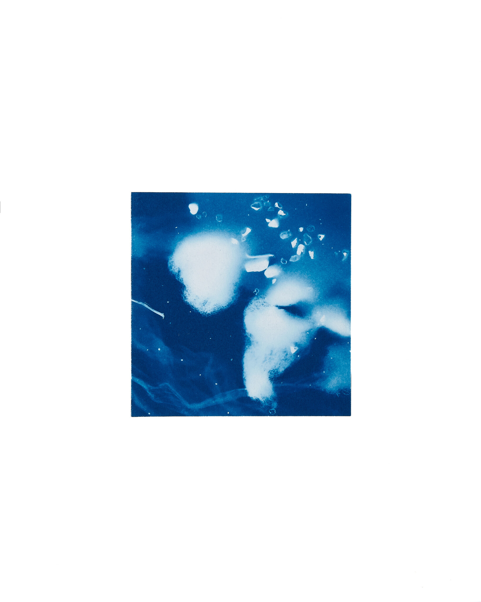 STUDIO SOMMER Original Cyanotype Edition N°20/26 – STELLAR TIDE – 12x12cm