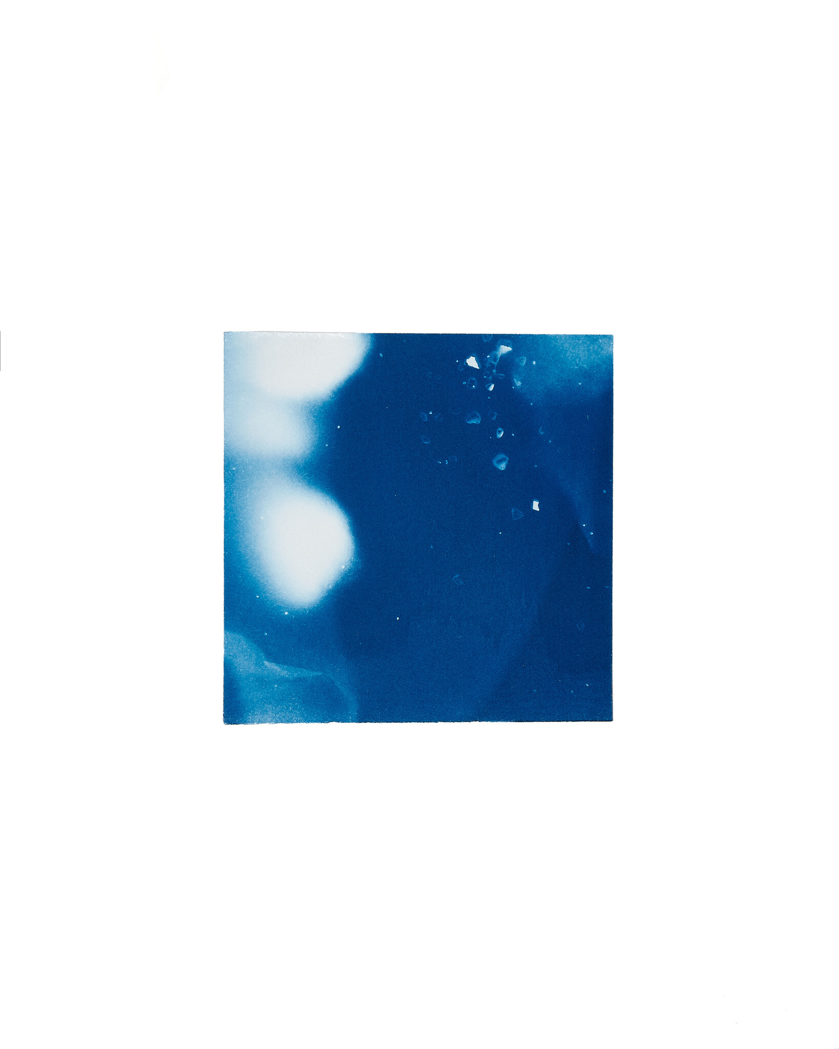 STUDIO SOMMER Original Cyanotype Edition N°19/26 – STELLAR TIDE – 12x12cm