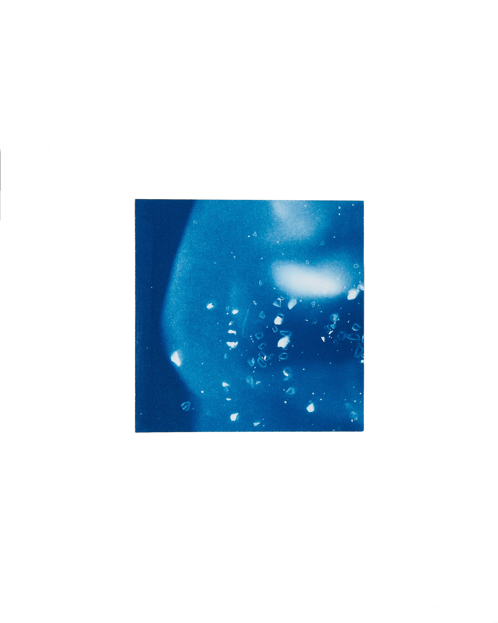 STUDIO SOMMER Original Cyanotype Edition N°18/26 – STELLAR TIDE – 12x12cm