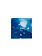 STUDIO SOMMER Original Cyanotype Edition N°17/26 – STELLAR TIDE – 12x12cm