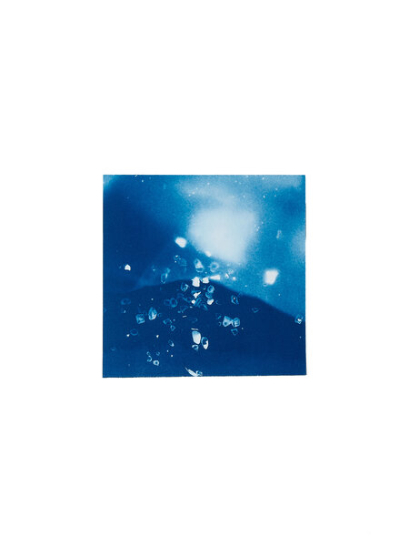 STUDIO SOMMER Original Cyanotype Edition N°17/26 – STELLAR TIDE – 12x12cm