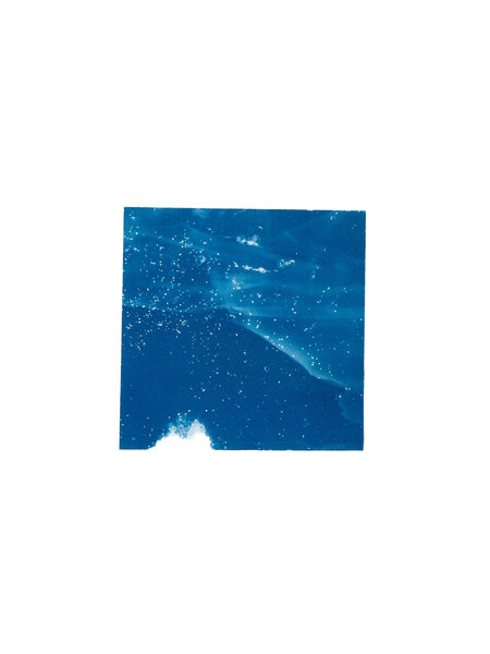 STUDIO SOMMER Original Cyanotype Edition N°16/26 – STELLAR TIDE – 12x12cm
