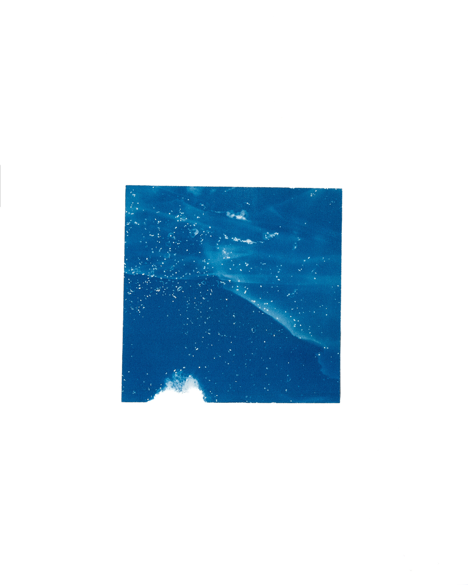 STUDIO SOMMER Original Cyanotype Edition N°16/26 – STELLAR TIDE – 12x12cm