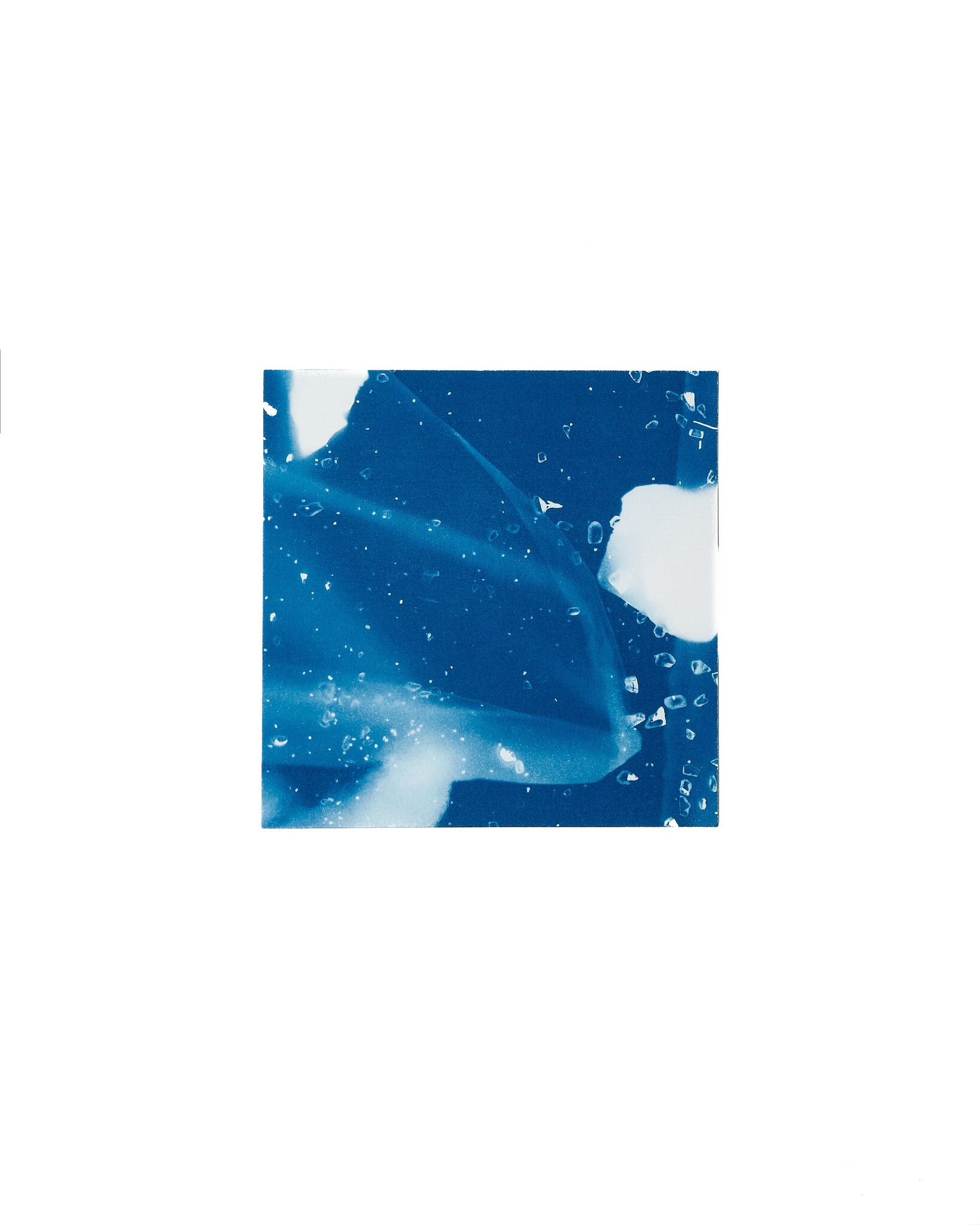 STUDIO SOMMER Original Cyanotype Edition N°13/26 – STELLAR TIDE – 12x12cm