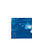 STUDIO SOMMER Original Cyanotype Edition N°12/26 – STELLAR TIDE – 12x12cm