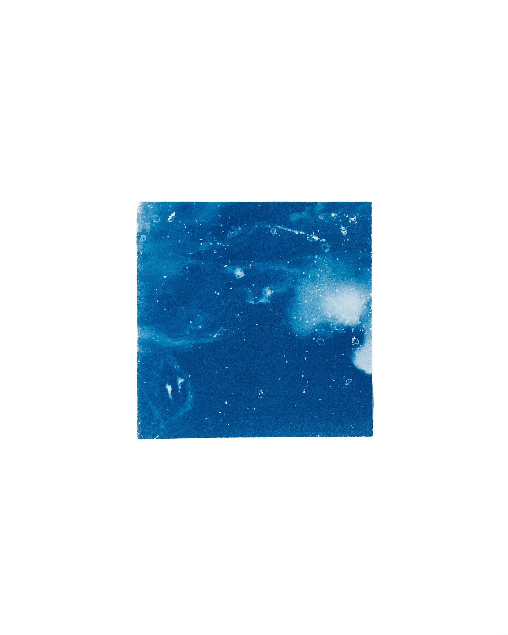 STUDIO SOMMER Original Cyanotype Edition N°12/26 – STELLAR TIDE – 12x12cm