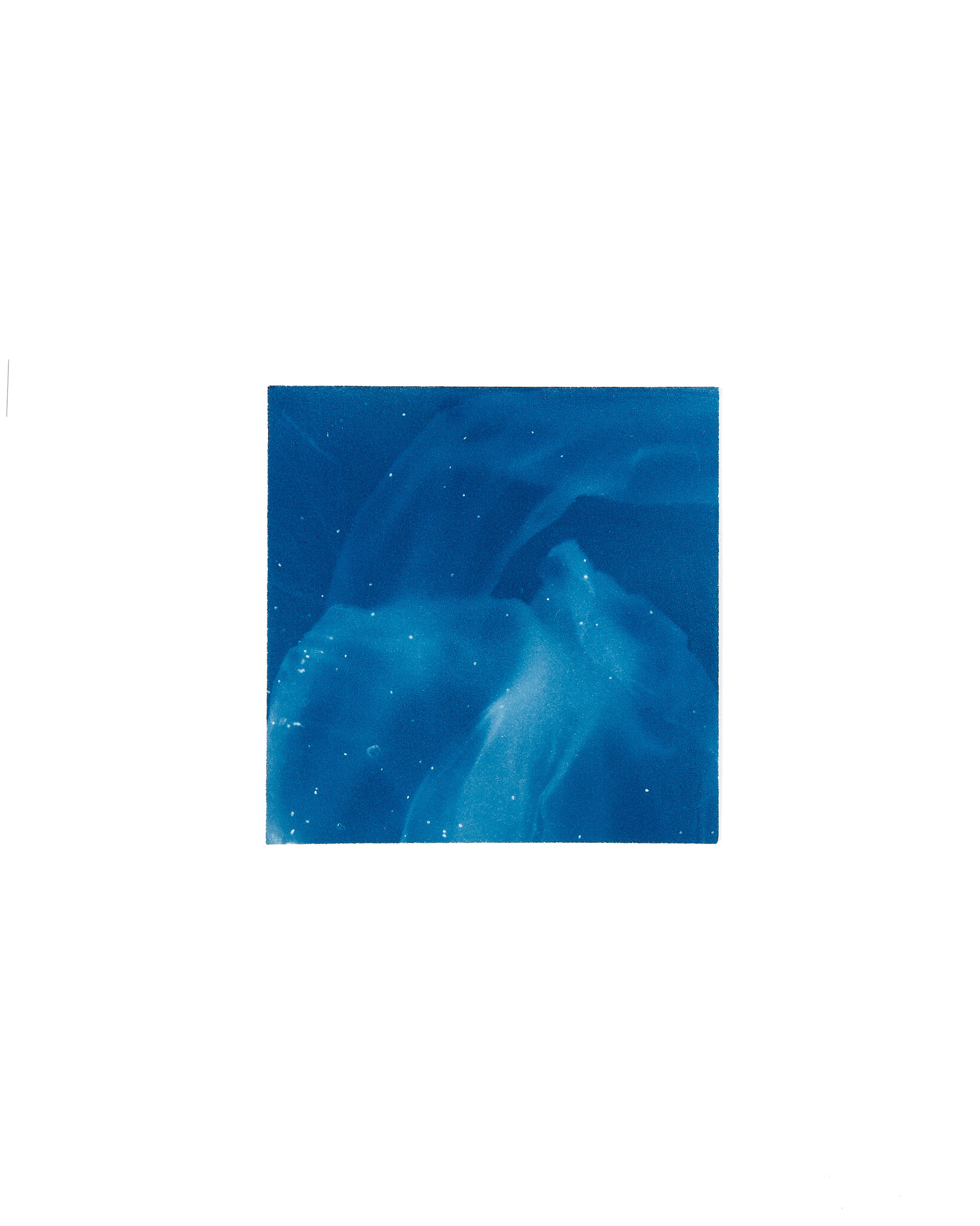 STUDIO SOMMER Original Cyanotype Edition N°11/26 – STELLAR TIDE – 12x12cm