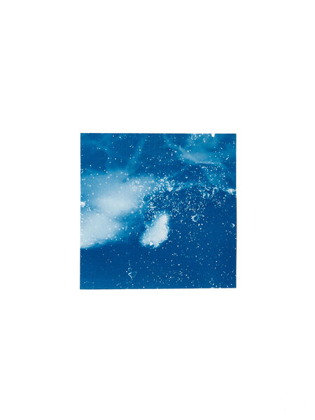 STUDIO SOMMER Original Cyanotype Edition N°10/26 – STELLAR TIDE – 12x12cm