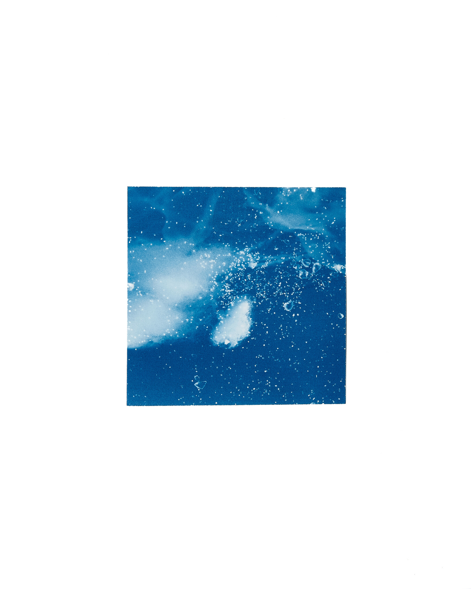 STUDIO SOMMER Original Cyanotype Edition N°10/26 – STELLAR TIDE – 12x12cm
