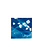 STUDIO SOMMER Original Cyanotype Edition N°9/26 – STELLAR TIDE – 12x12cm