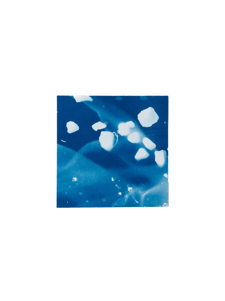 STUDIO SOMMER Original Cyanotype Edition N°9/26 – STELLAR TIDE – 12x12cm
