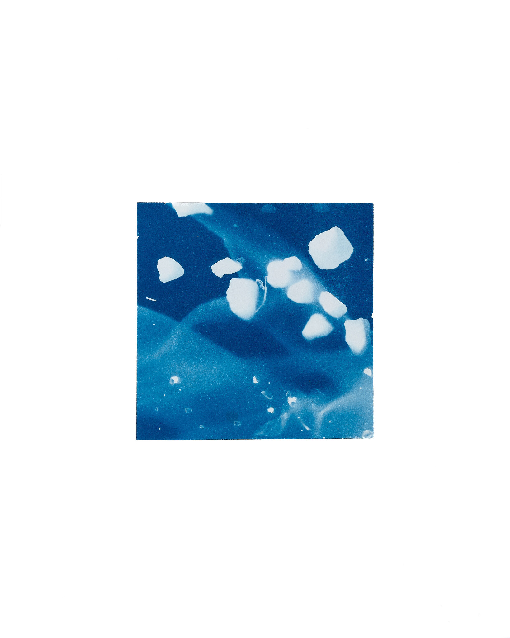 STUDIO SOMMER Original Cyanotype Edition N°9/26 – STELLAR TIDE – 12x12cm