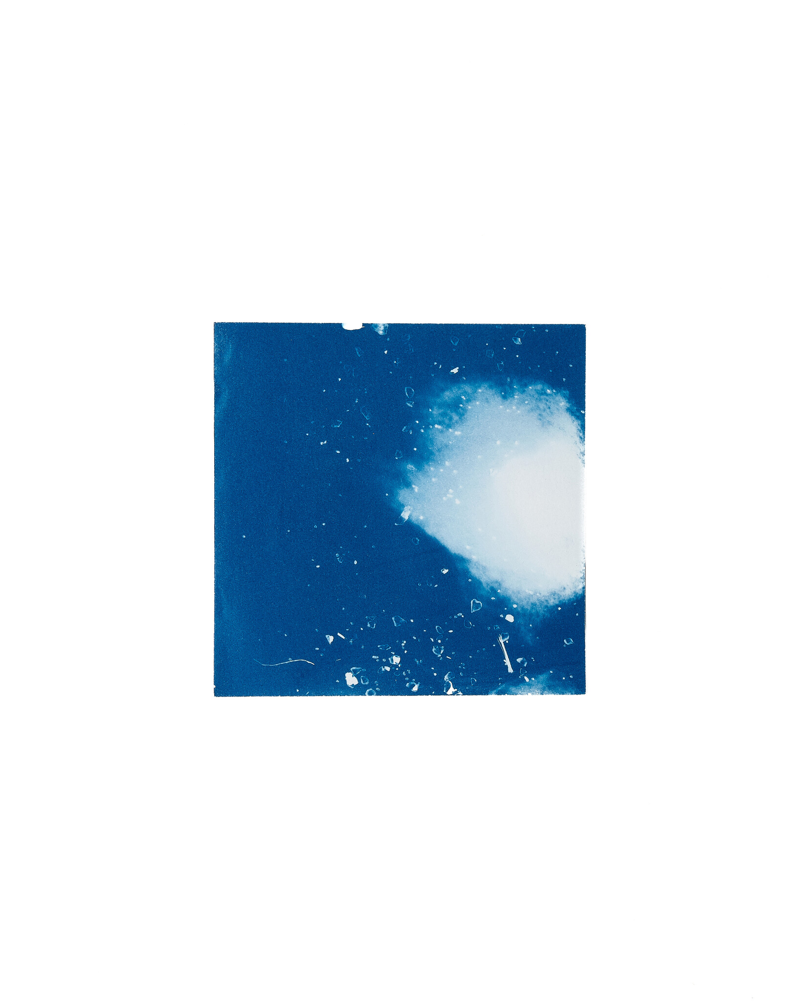 STUDIO SOMMER Original Cyanotype Edition N°8/26 – STELLAR TIDE – 12x12cm