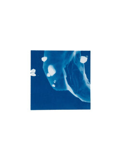 STUDIO SOMMER Original Cyanotype Edition N°7/26 – STELLAR TIDE – 12x12cm