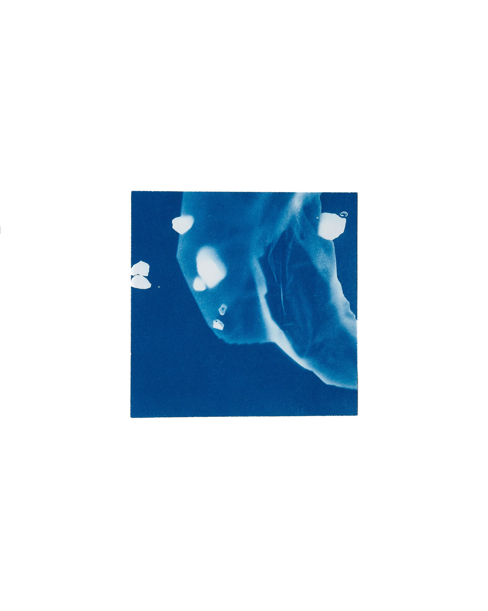 STUDIO SOMMER Original Cyanotype Edition N°7/26 – STELLAR TIDE – 12x12cm