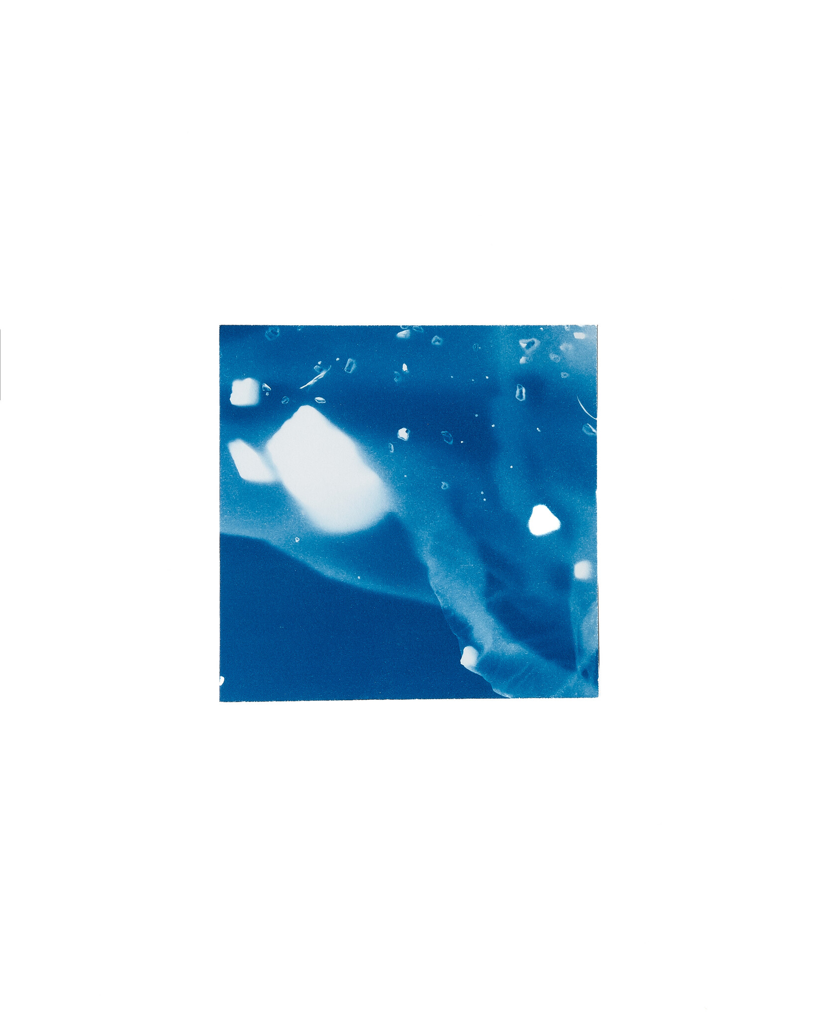 STUDIO SOMMER Original Cyanotype Edition N°6/26 – STELLAR TIDE – 12x12cm