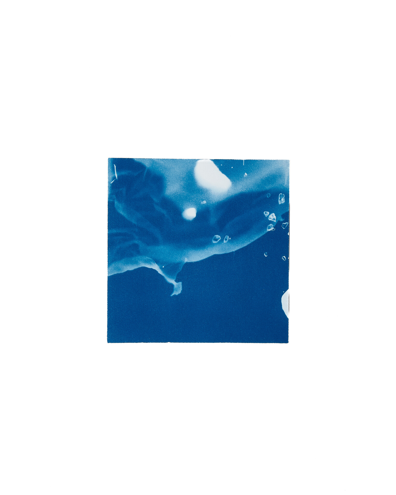 STUDIO SOMMER Original Cyanotype Edition N°5/26 – STELLAR TIDE – 12x12cm