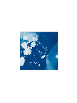 STUDIO SOMMER Original Cyanotype Edition N°4/26 – STELLAR TIDE – 12x12cm