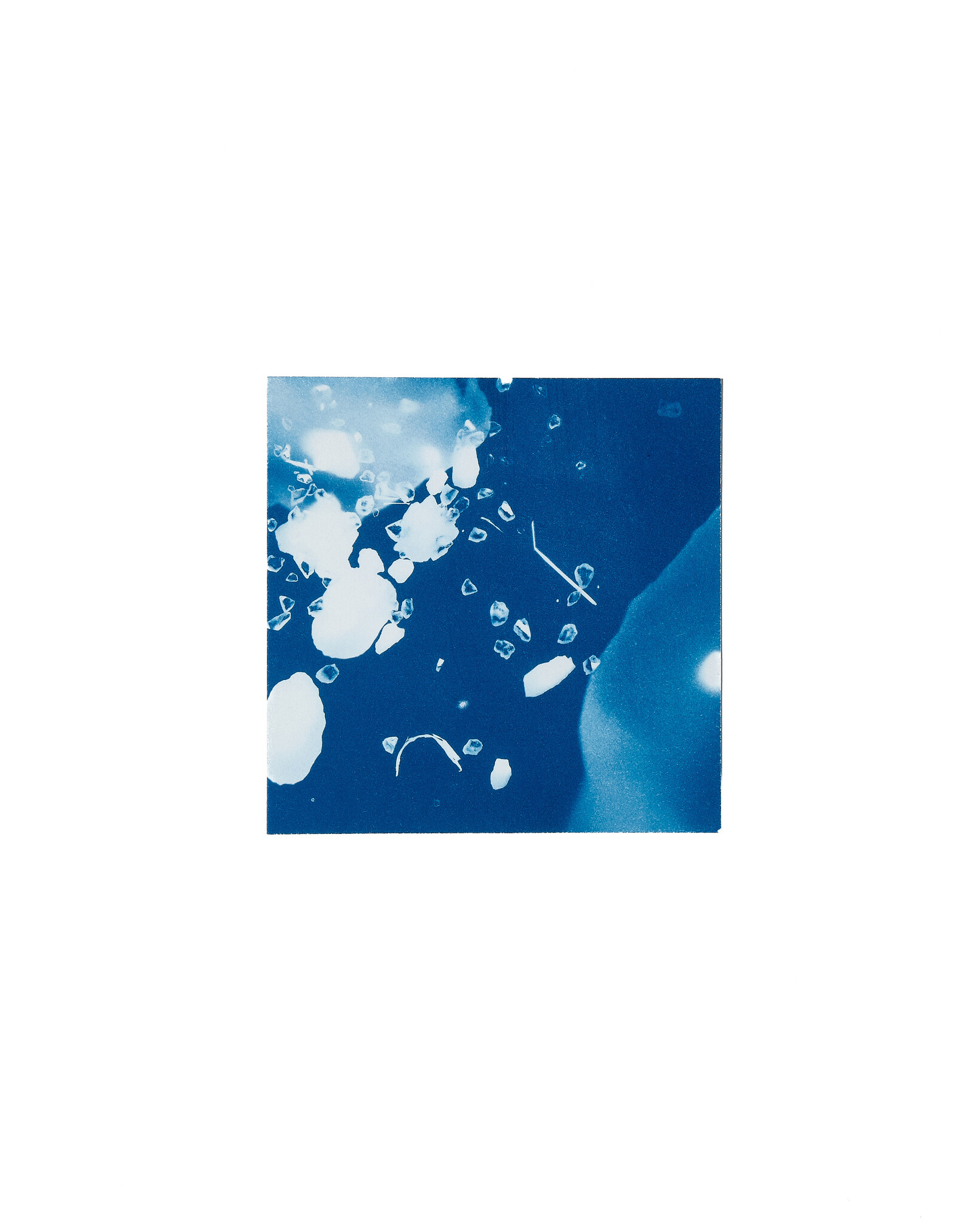 STUDIO SOMMER Original Cyanotype Edition N°4/26 – STELLAR TIDE – 12x12cm