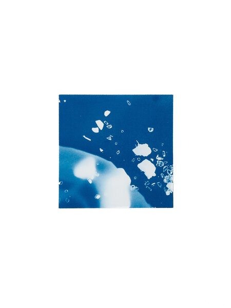 STUDIO SOMMER Original Cyanotype Edition N°3/26 – STELLAR TIDE – 12x12cm