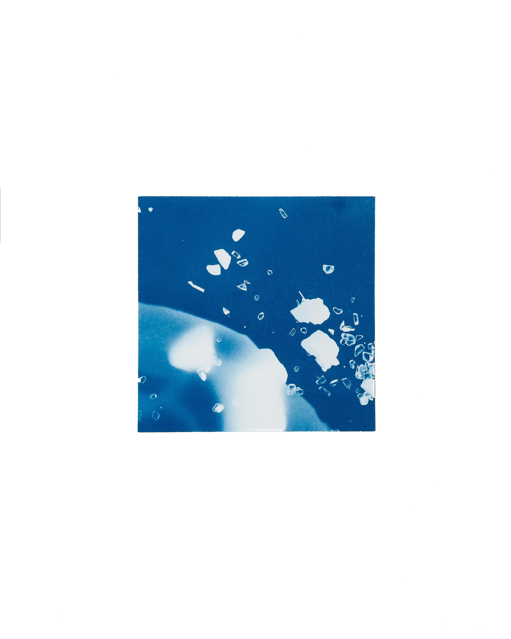 STUDIO SOMMER Original Cyanotype Edition N°3/26 – STELLAR TIDE – 12x12cm